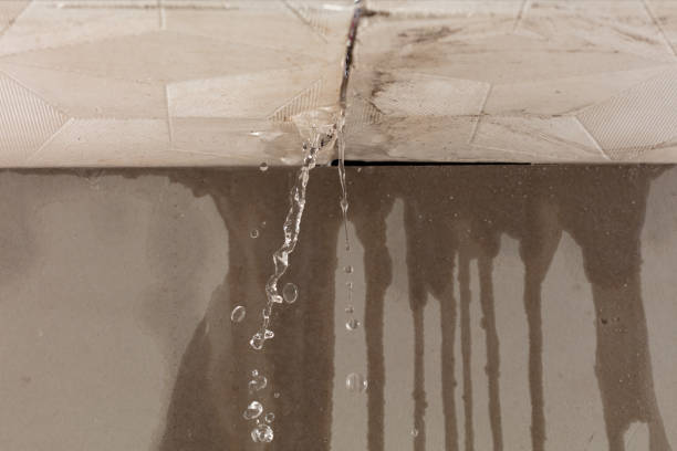 Professional Structural Drying technician working in Highland, IL